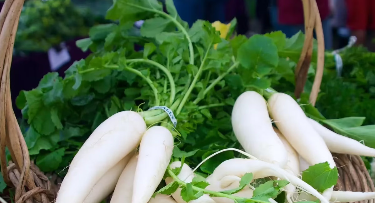 radish-amazing-health-benefits-give-me-radish
