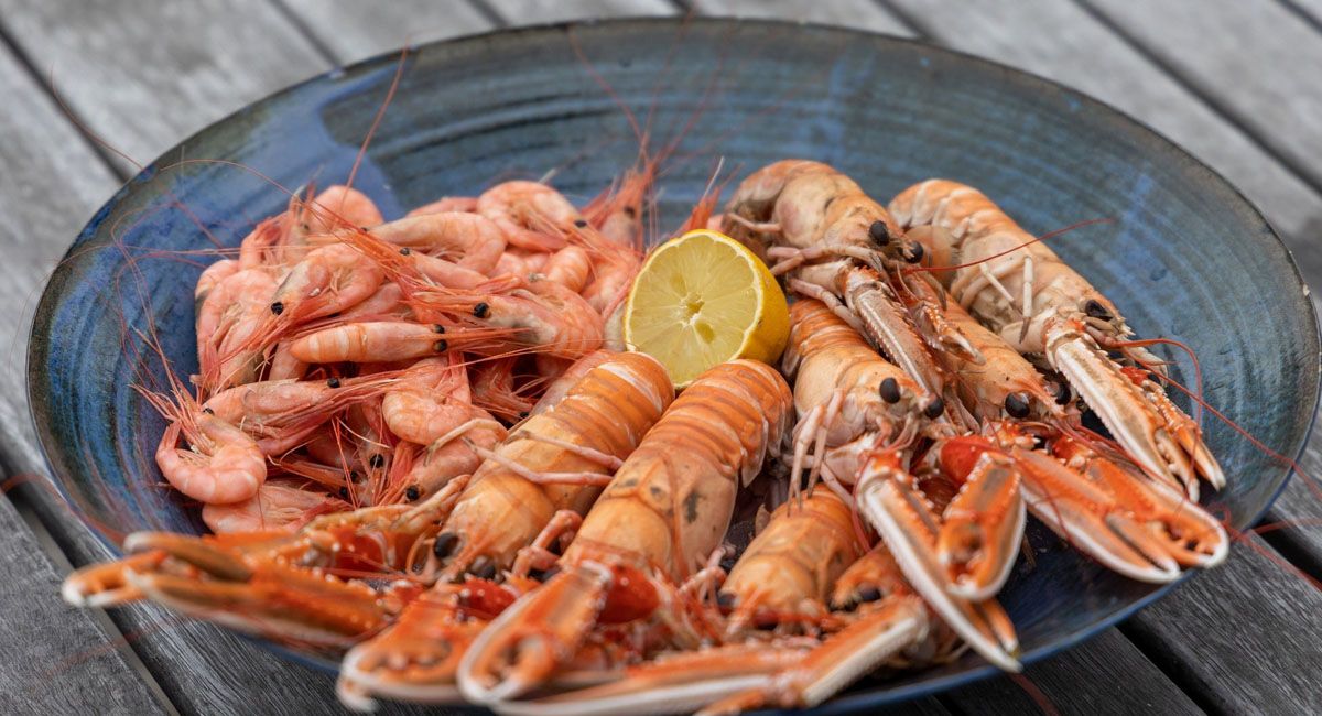 reasons-why-you-should-eat-more-prawns