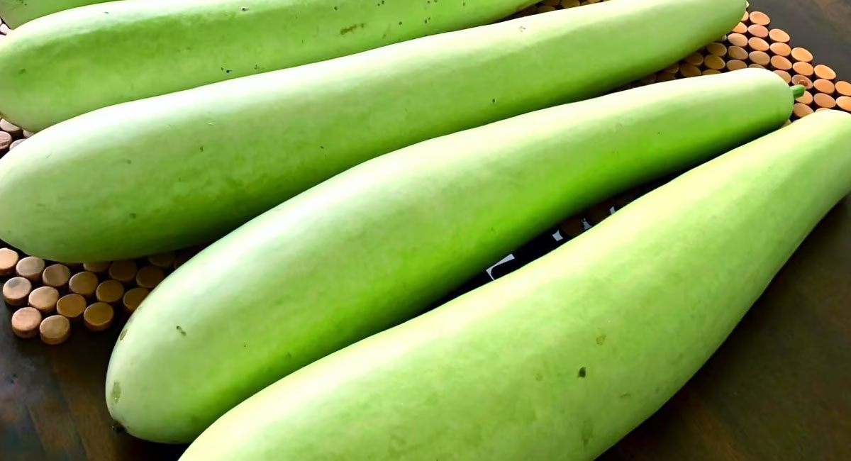 surprising-health-benefits-of-bottle-gourd
