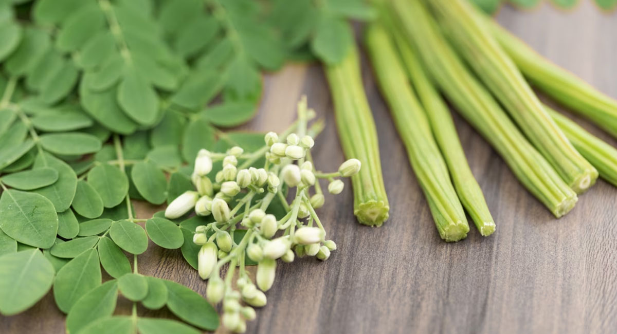 the-nutritional-and-health-benefits-of-moringa-leaves