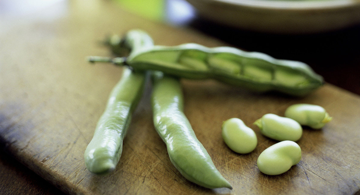 the-surprising-health-benefits-of-fava-beans
