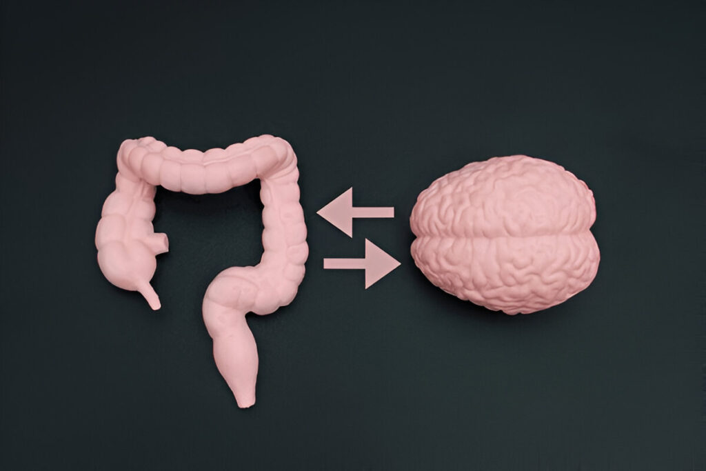 GUT CONNECTION